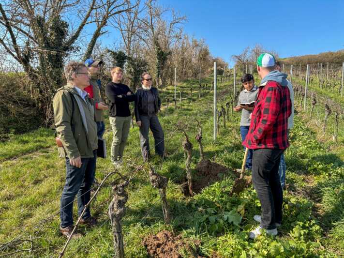 EIN GUTER TAG FÜR DAS WEINGUT SANDER UND FÜR DEN BIO-WEINBAU – FORSCHUNGSPROJEKT „RESET“ GEHT AN DEN START